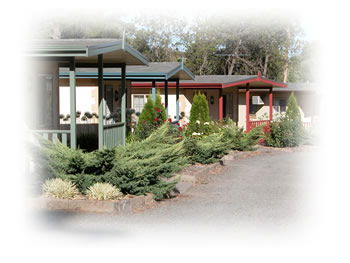 Kapunda Tourist Park - Darwin Holiday 1