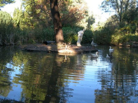 Lyndoch Hill Retreat - Darwin Holiday 2