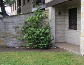 Avon Court Apartments - Darwin Holiday 2