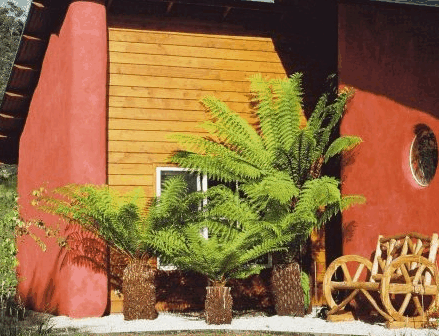 Franklin TAS Darwin Holiday