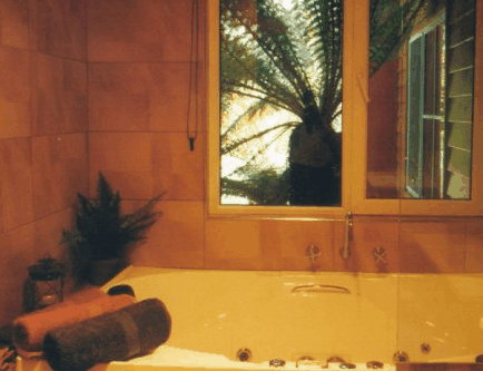 Whispering Spirit Cottage & Miniature Pony Stud - thumb 2