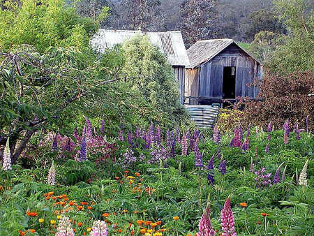 Hamlet Downs Country Accommodation - Darwin Holiday 2