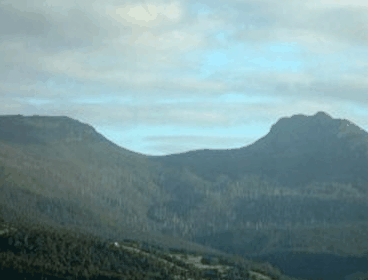 Crabtree House Heritage Suites - Darwin Holiday 4