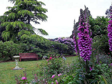 Donalea Bed & Breakfast - Darwin Holiday 4