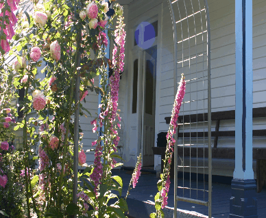 Devonport Bed And Breakfast