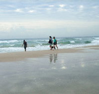 Alfies by the Sea - Darwin Holiday