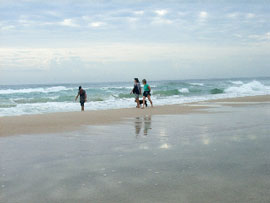 Alfies By The Sea - Darwin Holiday 0