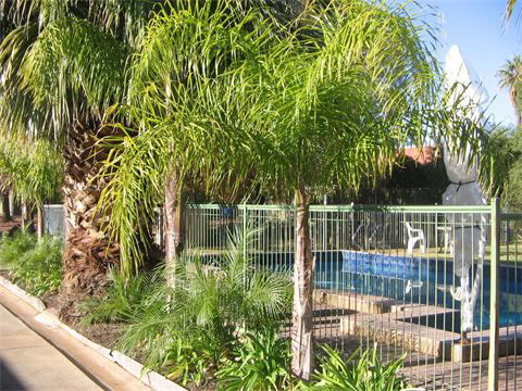 Orana Motor Inn - Darwin Holiday 8
