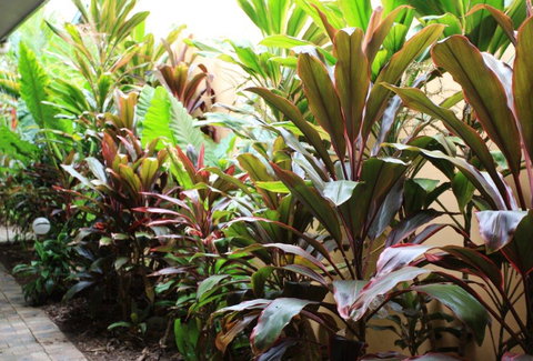 Best Western Lazy Lizard Motor Inn - Darwin Holiday 9