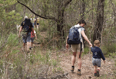 Bicheno East Coast Holiday Park - Darwin Holiday 3