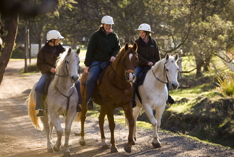 Country Club Tasmania - Darwin Holiday 4