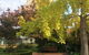 Cawarra On The Park - thumb 5