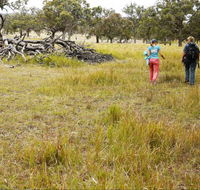 Carnarvon National Park camping - Darwin Holiday