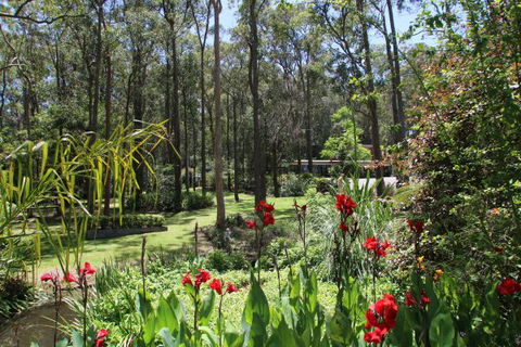 Werekataba - Darwin Holiday 0
