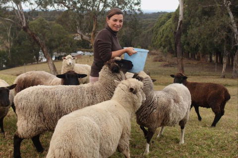 Blueberry Hills On Comleroy - Darwin Holiday 7
