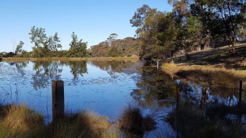 Blueberry Hills On Comleroy - Darwin Holiday 8