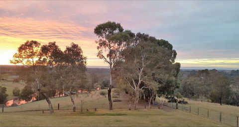 Blueberry Hills On Comleroy - Darwin Holiday 9