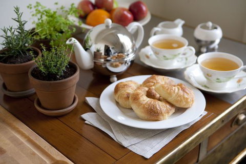 Circa 1860 - Darwin Holiday 6