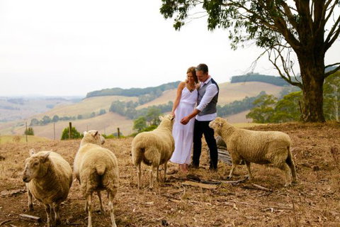 Halcyon Cottage Retreat - Self Contained Accommodation - Darwin Holiday 2