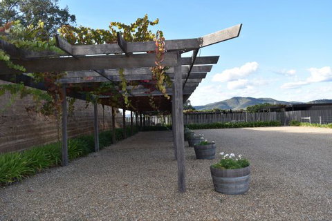 Studio Venti Sette - Darwin Holiday 46