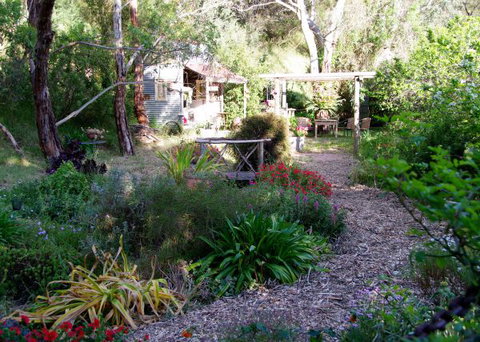 Pear Tree Hollow - Darwin Holiday 8