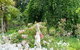 Camawald Coonawarra Bed & Breakfast - thumb 4