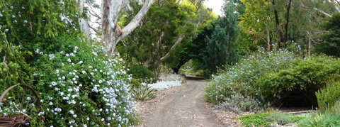 Camawald Coonawarra Bed & Breakfast - Darwin Holiday 5