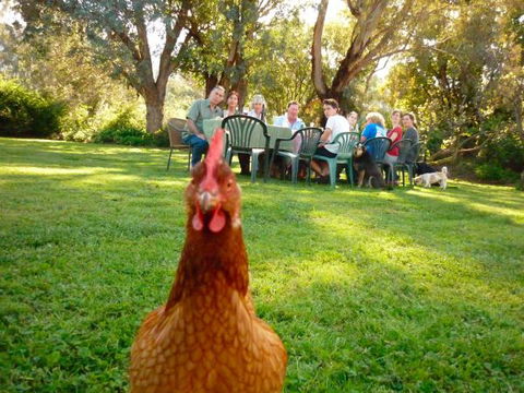 Baranduda Homestead B&B Cottages - Darwin Holiday 9