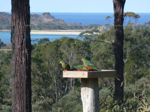 Indigo Couples Retreat Murrah Beach - Darwin Holiday 8