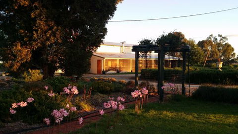 Angas Plains Wines Suites - Darwin Holiday 2