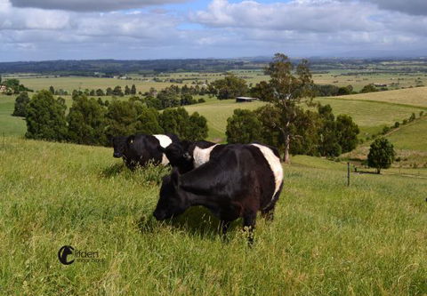 Clifden Cottage - Darwin Holiday 6