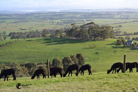 Clifden Cottage - Darwin Holiday 7