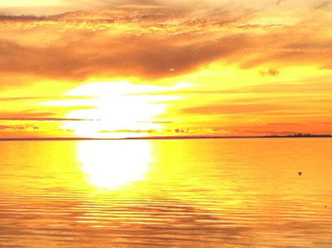 Dalton On The Lake - Darwin Holiday 3