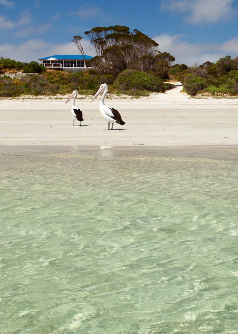 Kangaroo Island Star Beach House - Darwin Holiday 4