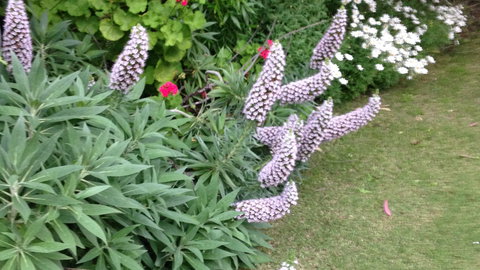 Padthaway Caravan Park - Darwin Holiday 6