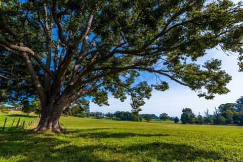 All About Me Bed And Breakfast - Darwin Holiday 8