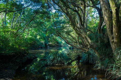 All About Me Bed And Breakfast - Darwin Holiday 9