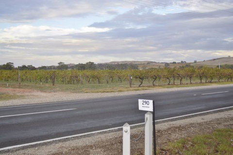 Almond Tree Cottage - Darwin Holiday 5