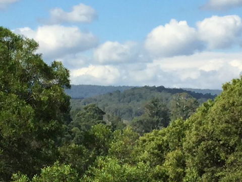 Barrington Tops Escapes - Darwin Holiday 3