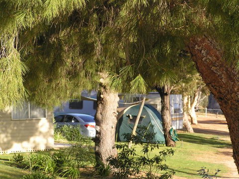 Barmera North Lake Caravan Park - Darwin Holiday 0