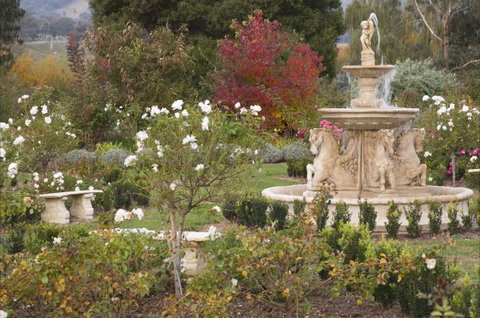 Brookfield Guesthouse - Darwin Holiday 5