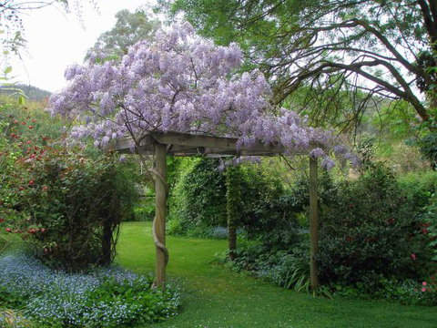 Brookfield Guesthouse - Darwin Holiday 8