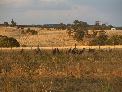 Bunjil Farm - Darwin Holiday 8