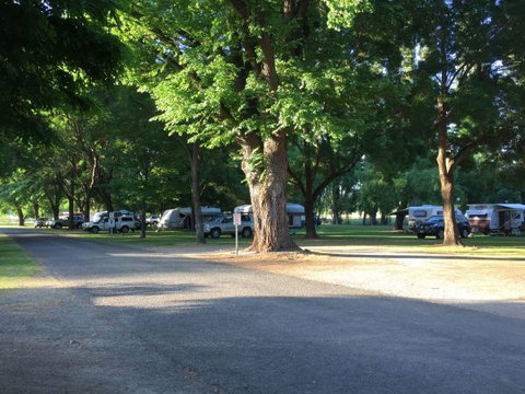 Colac Colac Caravan Park - Darwin Holiday 1