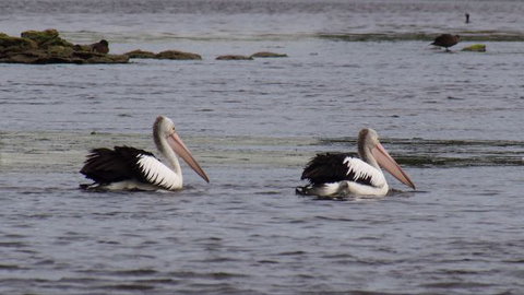 Douglas Riverside - Darwin Holiday 7