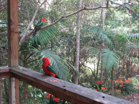 Dunns Creek Downs Nature Stay - Darwin Holiday 4