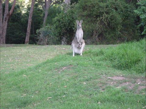 Dunns Creek Downs Nature Stay - Darwin Holiday 6