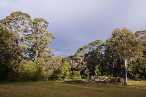 Fernhill Chestnut Farm - Darwin Holiday 2