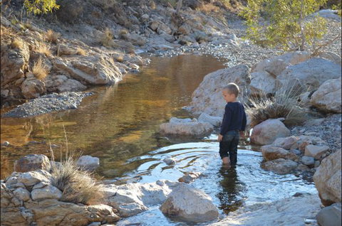 Flinders Bush Retreats - Darwin Holiday 8