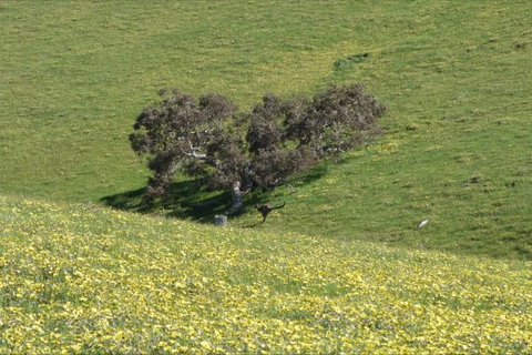 Morella Farm Stay - Darwin Holiday 9